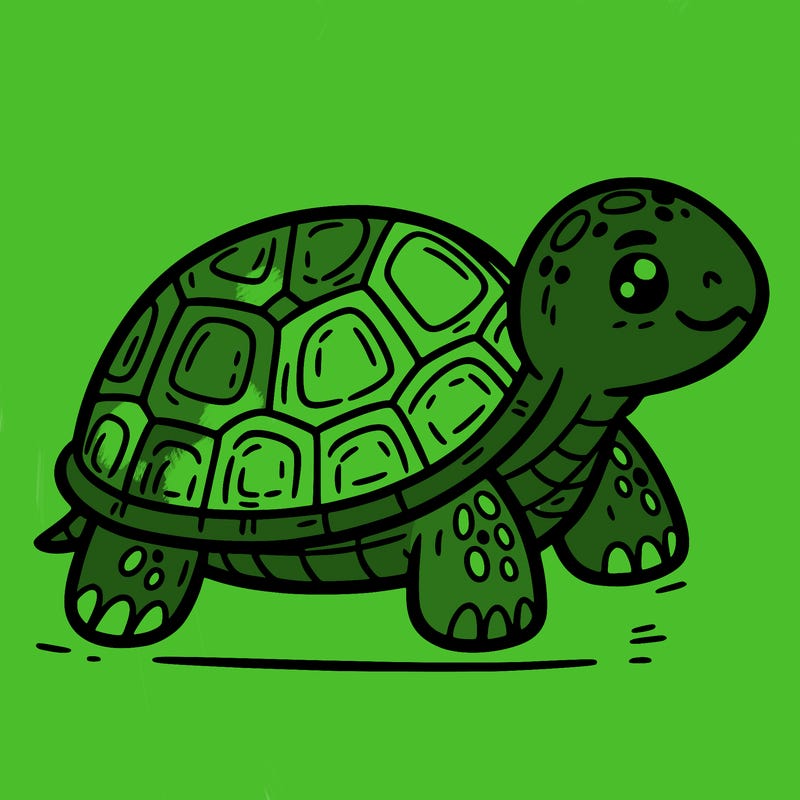 turtle