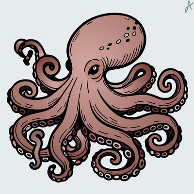 octopus