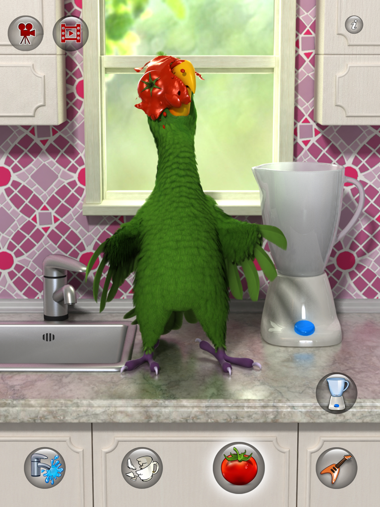 Talking Pierre the green parrot getting hit with a tomato in a kitchen