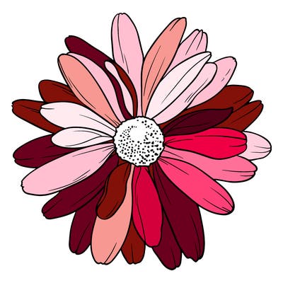 flowers_21