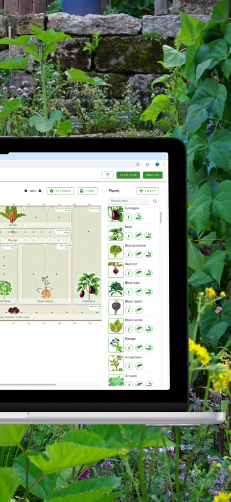 grove: Companion Plant Planner - The grove app on a laptop screen showing a digital vegetable garden bed plan and companion plant database.