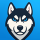 Husky VPN - Go Borderless
