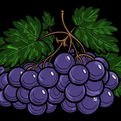 grapes