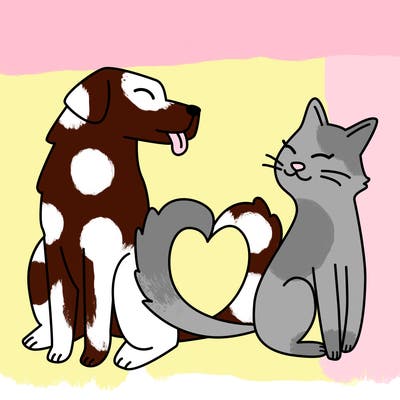 animals_22