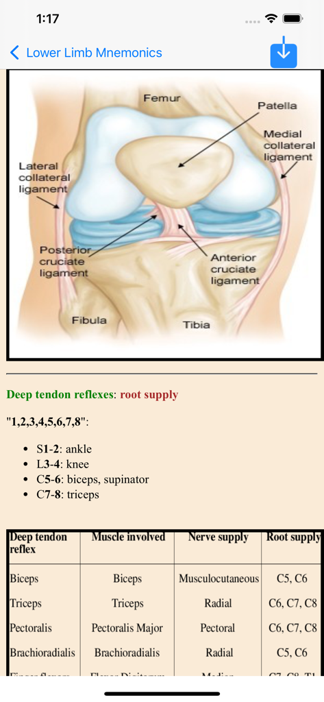 All Medical Mnemonics App - Knee anatomy illustration and deep tendon reflex mnemonics table