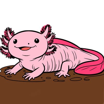 axolotl