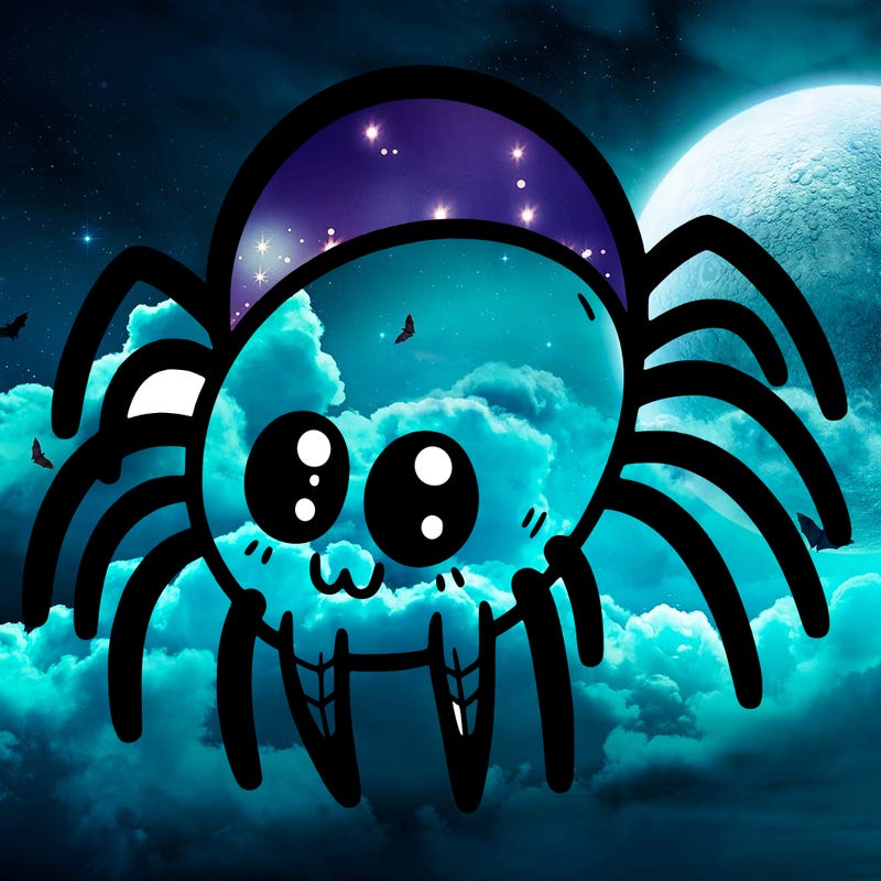 spider