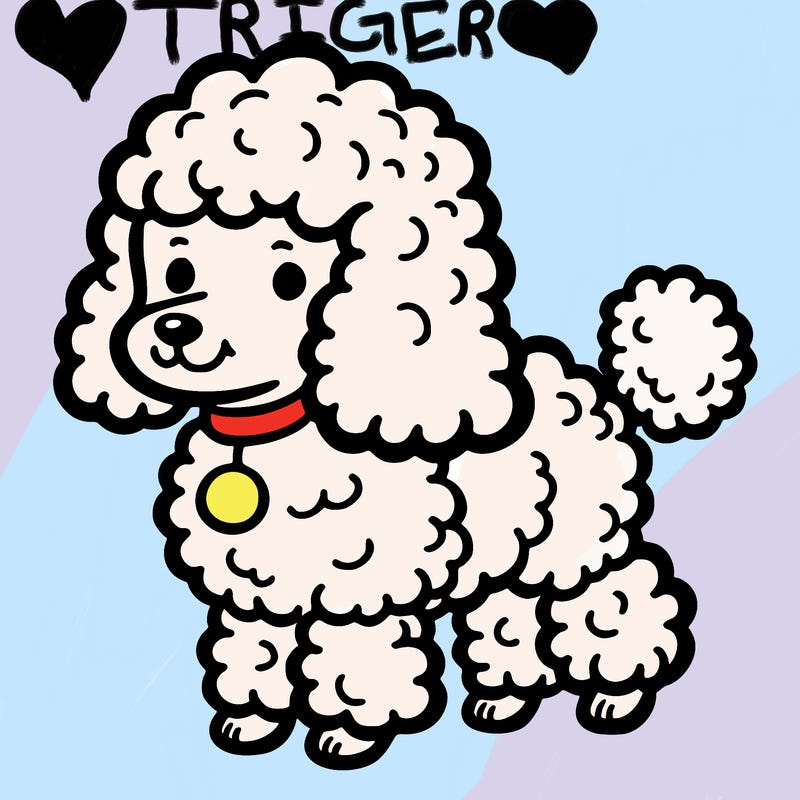 poodle