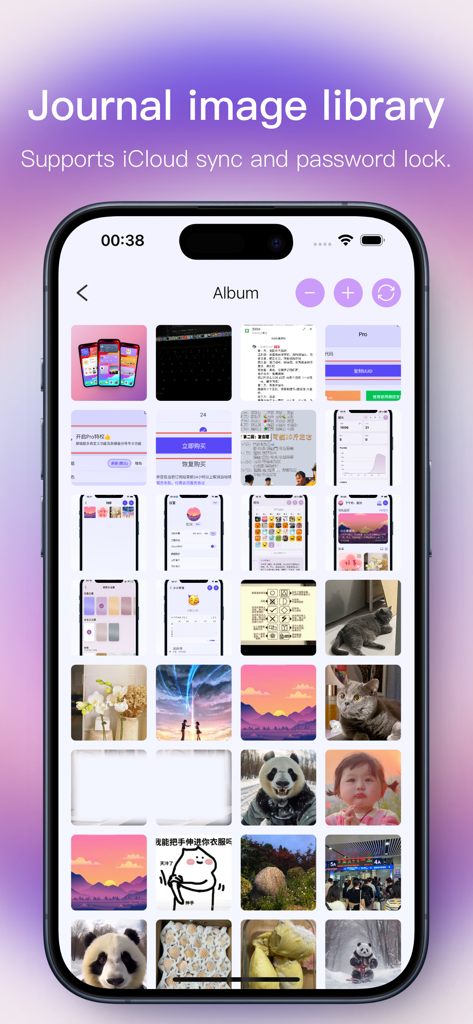 The image gallery view of the Shine diary app showing a grid of personal photos and illustrations
