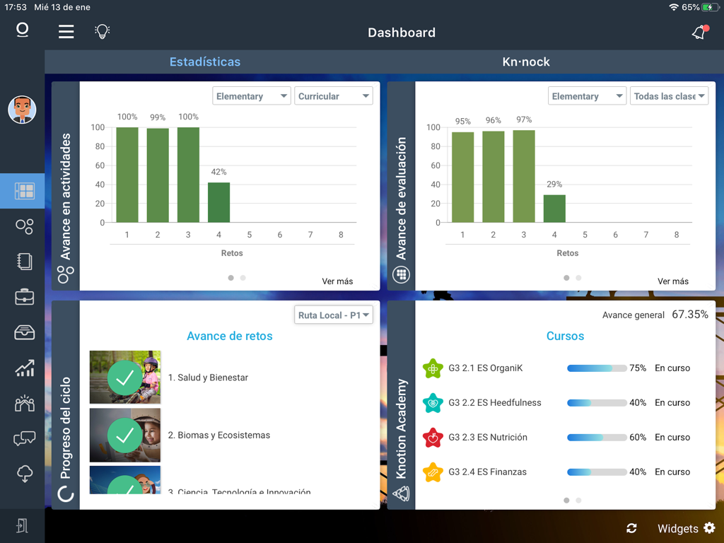 Educational dashboard on Knotion DEP showing student progress charts and course completion status