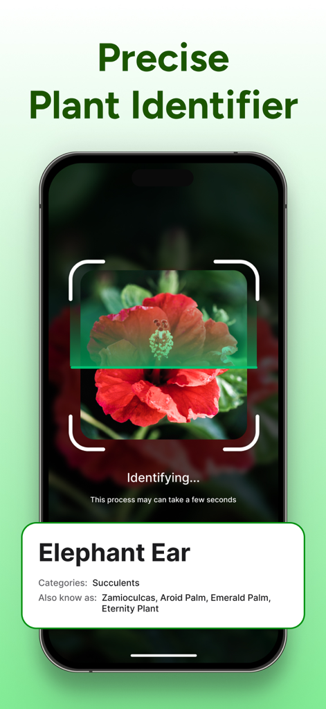 PlantCheck: Plant Identifier - Pantalla móvil que muestra la aplicación PlantCheck identificando una flor roja usando tecnología de escaneo de IA