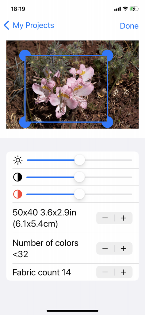 Stitch Creator mobile app screen for adjusting pattern size and colors for a floral cross stitch design