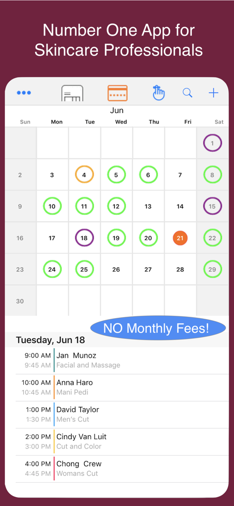 Interface of the Skincare Pro app showing a monthly calendar and daily appointment schedule for beauty professionals.