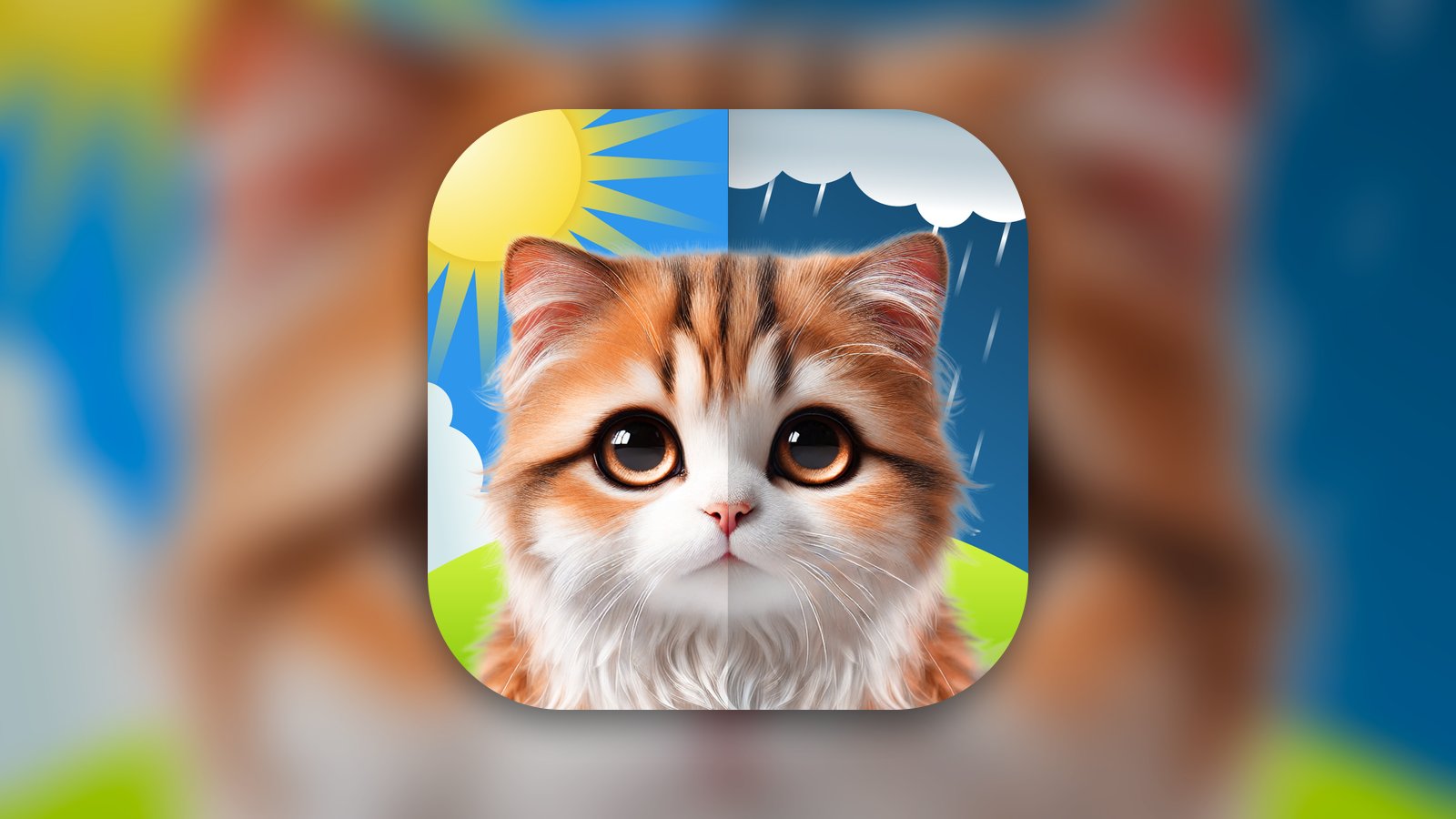 Meow Weather - Cat Forecast - Weather App | MWM