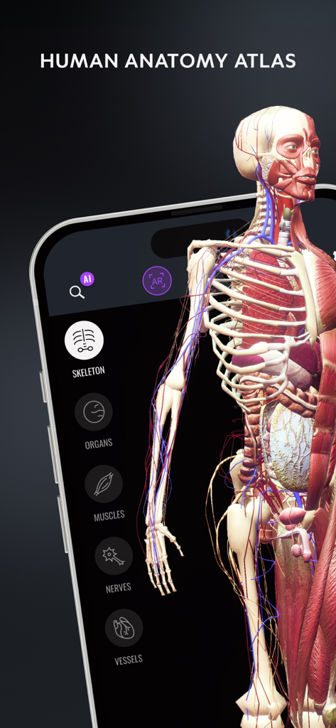 3D human anatomy model on a smartphone screen showing skeletal and muscular systems