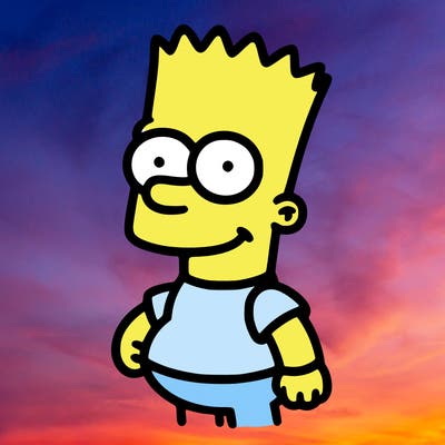 bart simsion
