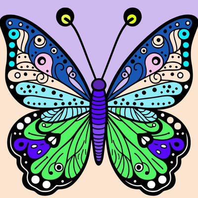butterfly
