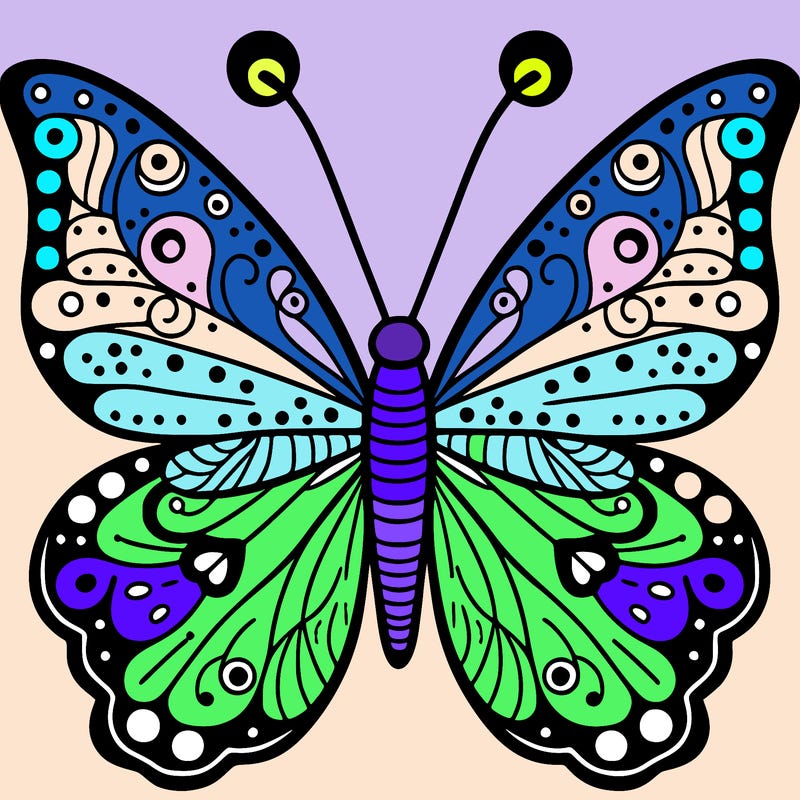 butterfly
