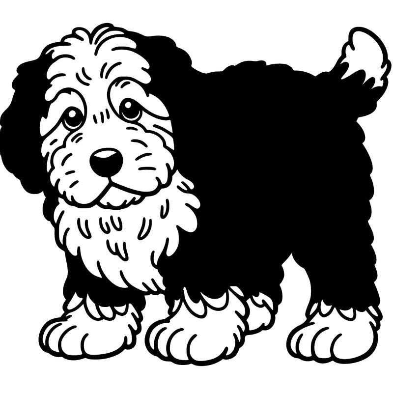 my old puppy bernedoodle is brown and white