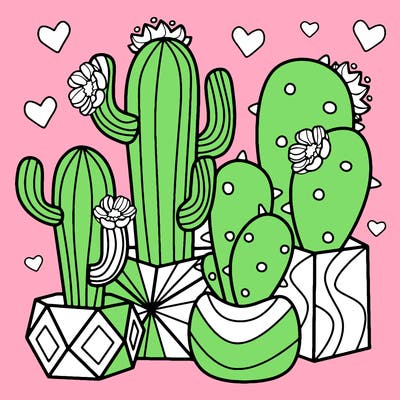 flowers_24_new