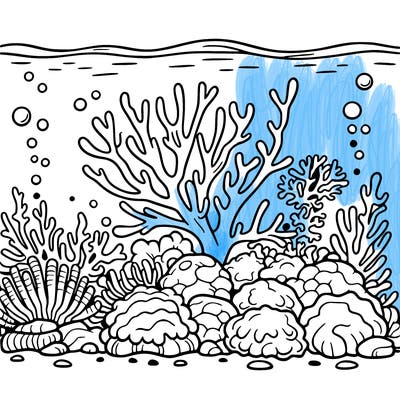 coral-reef out line