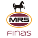 FINAS (Financial Accounting)