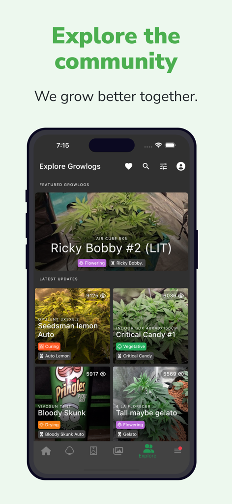 Mobile app screen showing the explore community growlogs section with various cannabis plant progress and growth stages