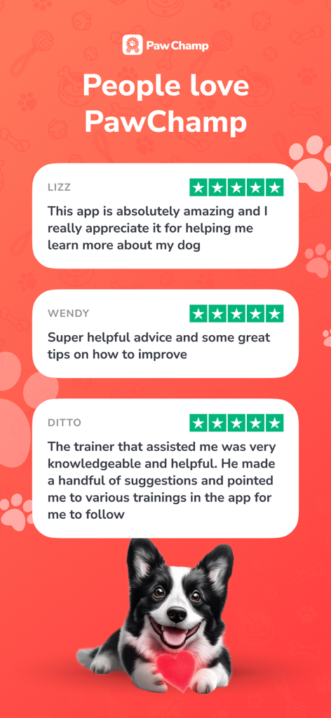 Tres reseñas y testimonios de usuarios de 5 estrellas para la aplicación de entrenamiento y cuidado de perros PawChamp