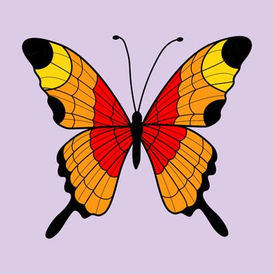 animals_17