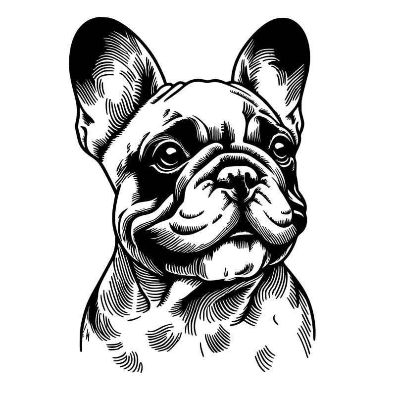 realistic french bulldog