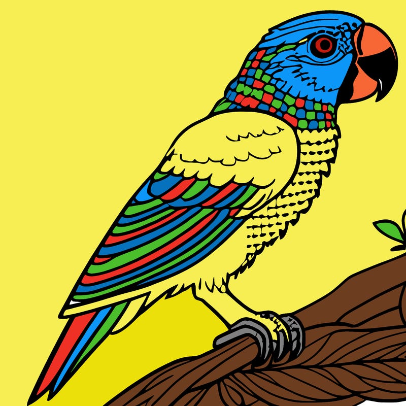parrot