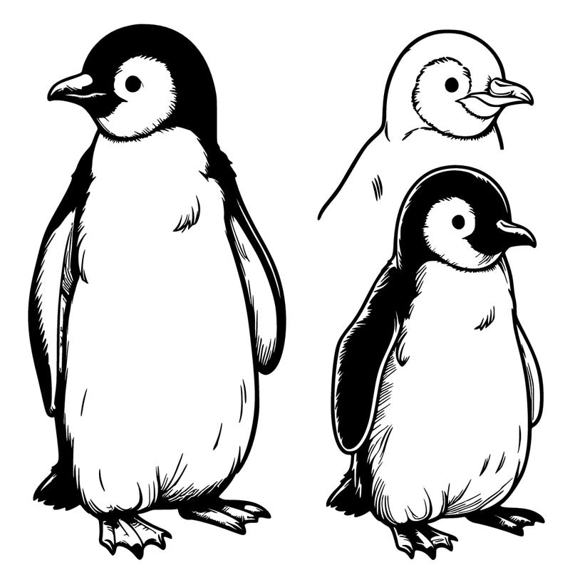 realistic penguin