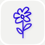 one year: daily journal