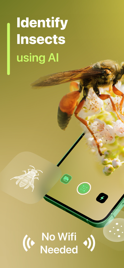 Insect Identifier - Utilities App | MWM