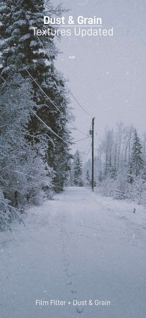 PICFX Picture Editor & Borders - A winter landscape photo with a vintage film filter and authentic dust and grain textures from the PICFX app.