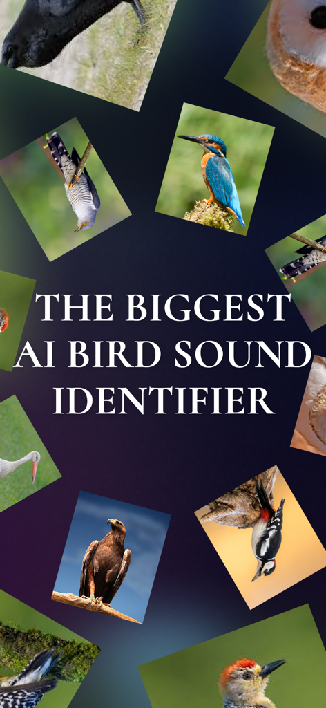 A promotional graphic for the Animal Sound Identifier AI app featuring a collage of various bird photos and the text The Biggest AI Bird Sound Identifier.