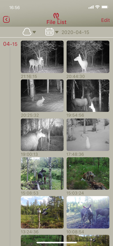 HunterCamアプリでトレイルカメラによってキャプチャされた、鹿やヘラジカなどの野生生物の写真ギャラリー。