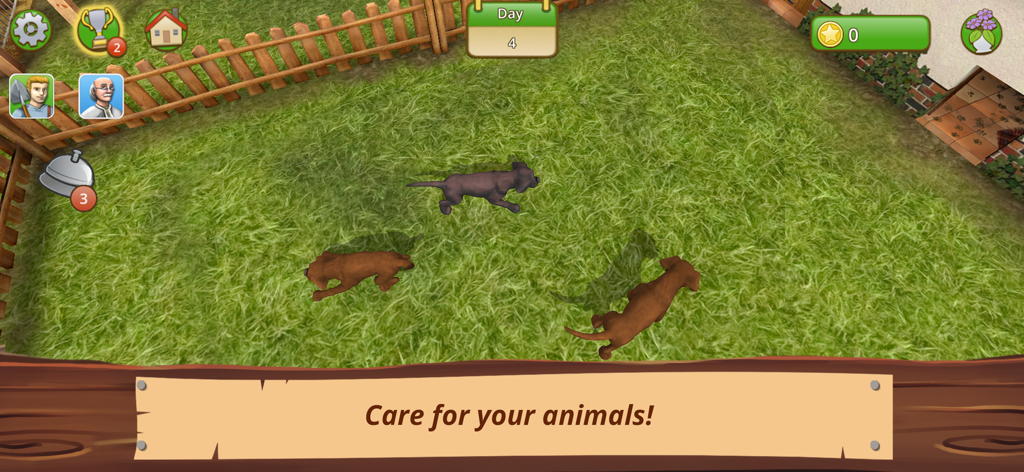 Trois chiens jouent dans un enclos extérieur herbeux au refuge pour animaux