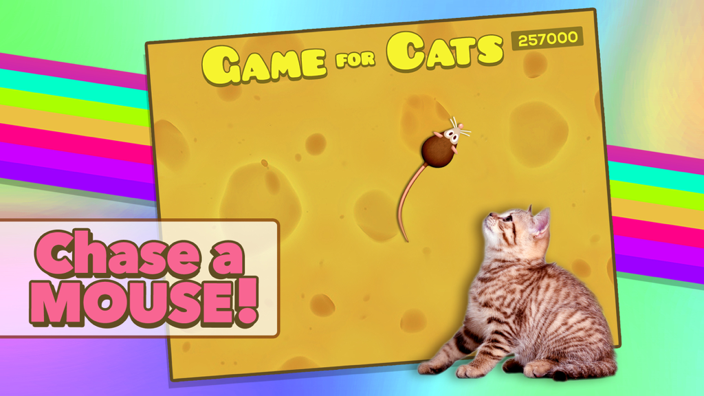 A kitten watching a digital mouse move across the screen in the Game for Cats app.