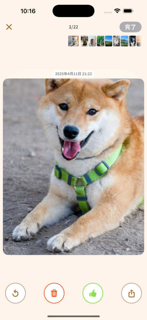 PhotoZap - Clean Camera Roll - PhotoZap app screen displaying a dog photo with options to keep or delete