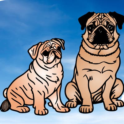 pugs
