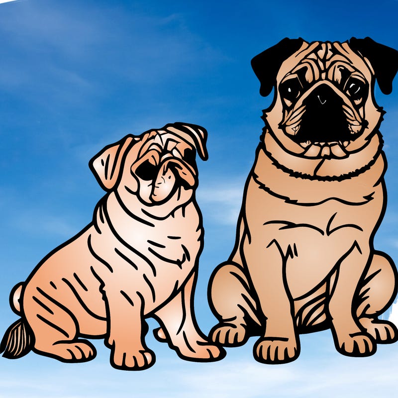 pugs