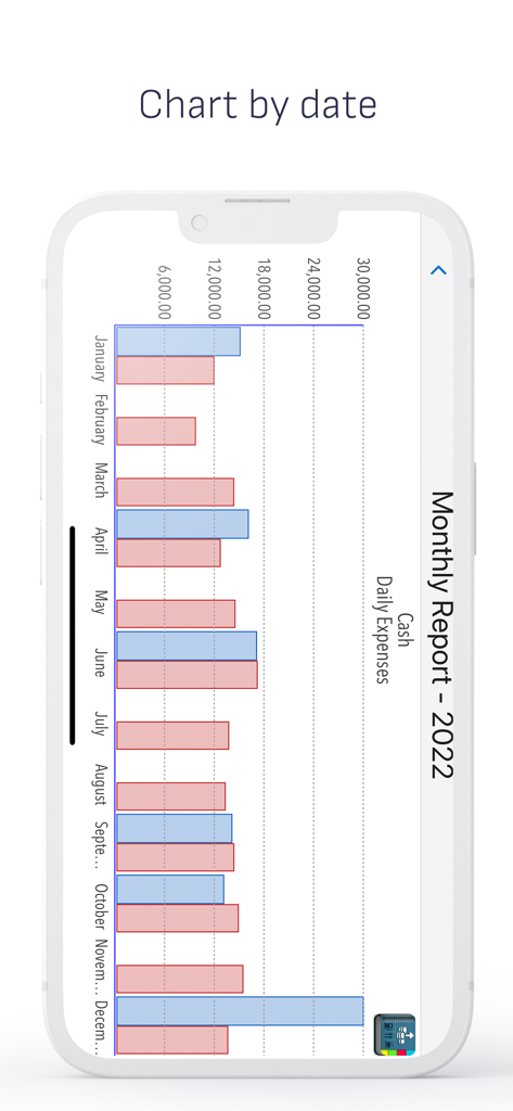 Bar chart showing monthly income and expenses in the Daily Expenses app
