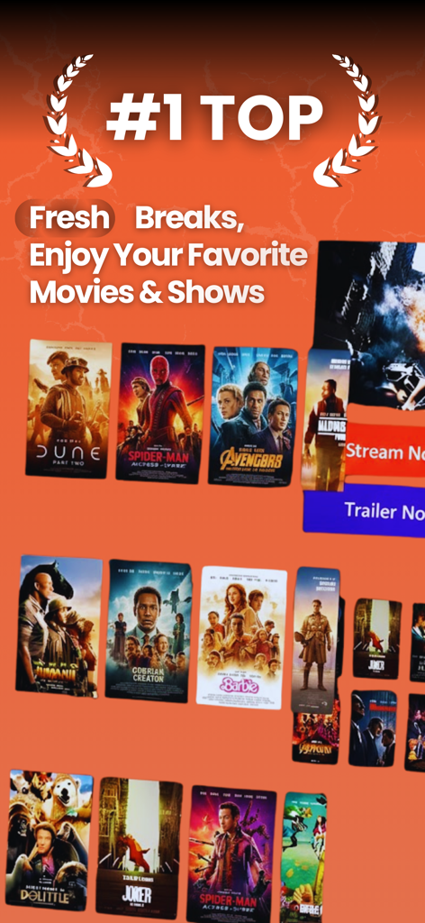 Dodo Web View app interface showing a variety of popular movies and TV shows to stream