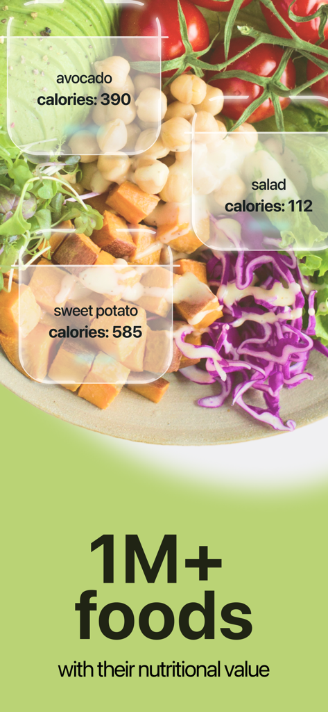Food Calorie Tracker: Holli AI - Holli AI calorie tracker app interface identifying nutrients in a bowl of food with over one million items in its database
