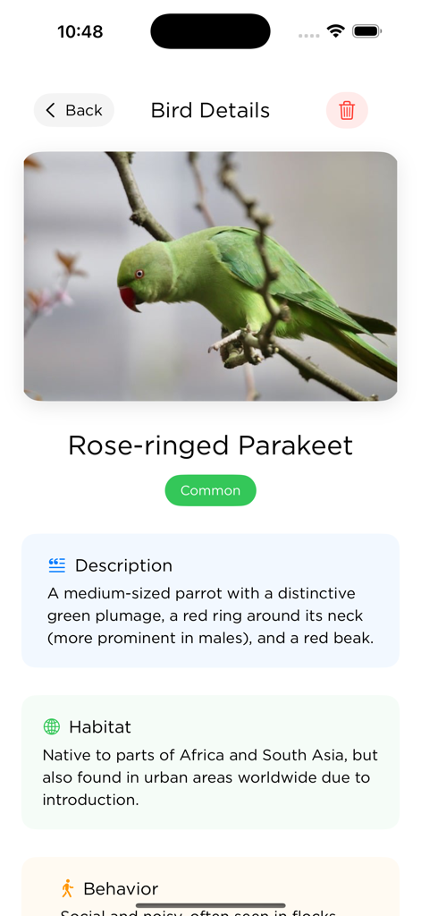 Wingsу Lеns - Pantalla de detalles de aves en la aplicación Wingsy Lens que muestra el perfil de la especie Cotorra de Kramer con descripción y hábitat.