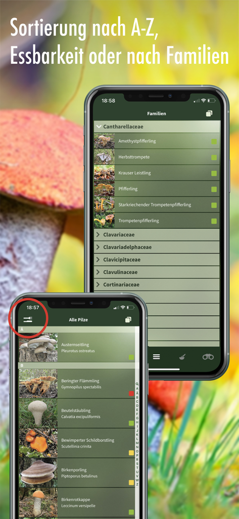Screenshot der Pilzführer-Pilzführer-App, die Sortieroptionen nach Familie und Essbarkeit mit hochwertigen Bildern zeigt