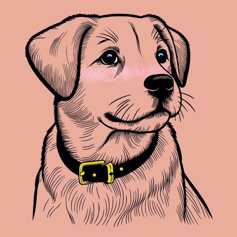 dog realistic