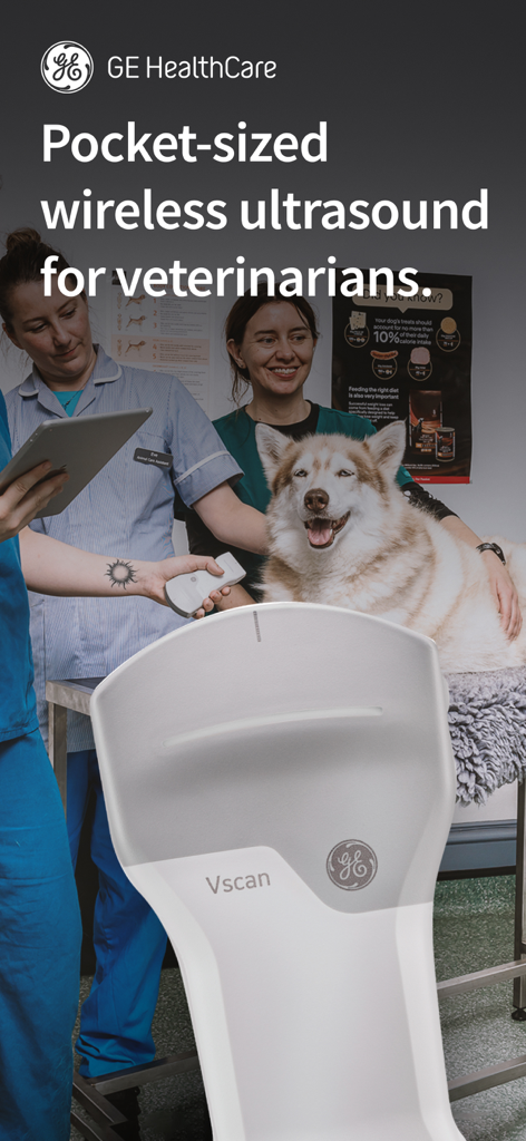 Profissionais veterinários usando uma sonda de ultrassom GE Vscan Air sem fio em um cão em uma clínica