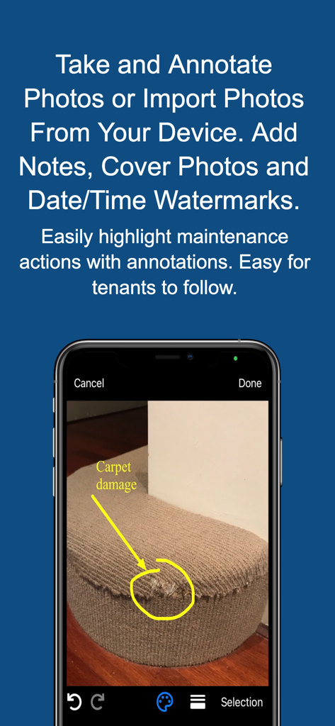 Property Inspection Manager - Property inspection app interface showing a photo of carpet damage with a yellow circle annotation